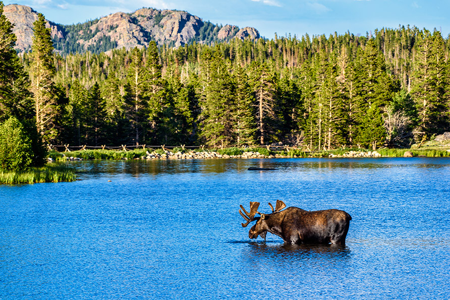 Rocky Mountain National Park panorama
