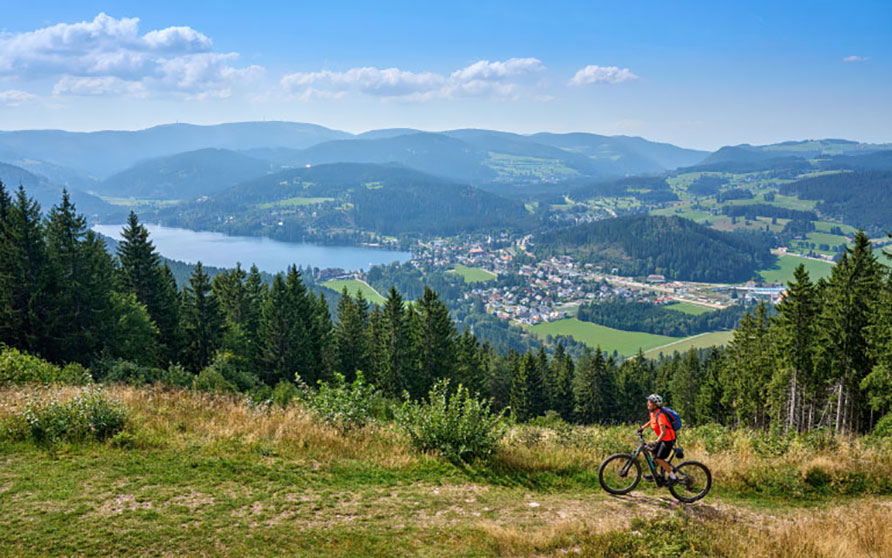 Tourists hiking in a German nature reserve