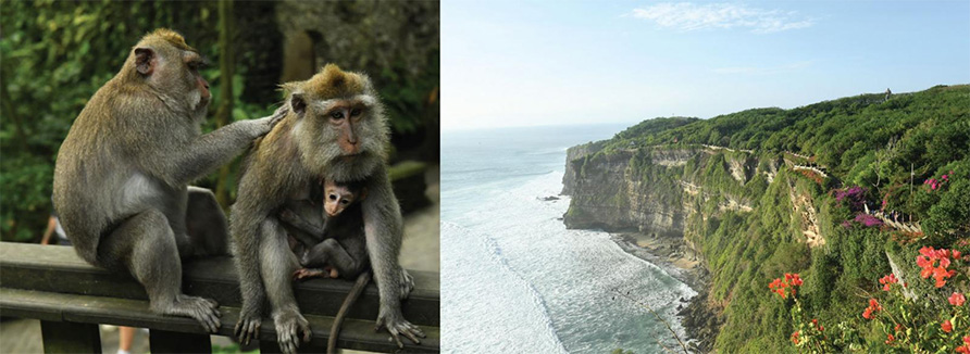 Education and tourism in Indonesia