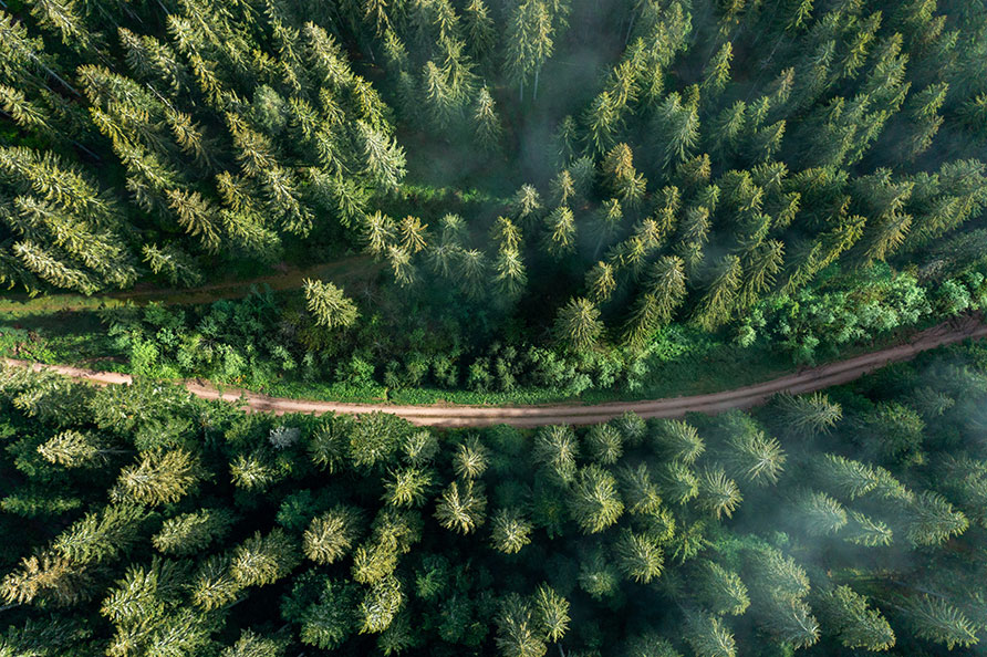 Black Forest hiking trail in southern Germany