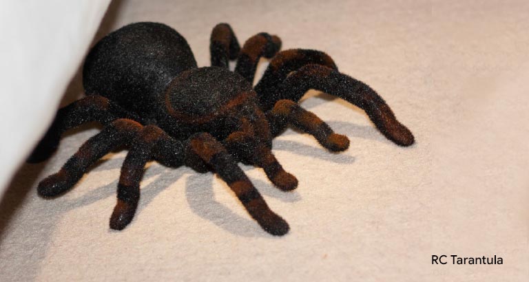 RC Tarantula remote-control prank gadget